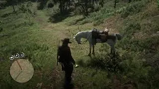 Red Dead Redemption 2 Frogic