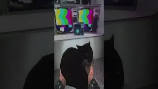 Maxwell The Cat in Gmod