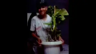 Betoane X Nebunu Weed HD REMASTERED