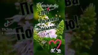 #здоровье