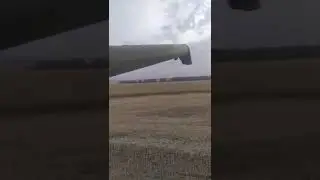 уборка рапса