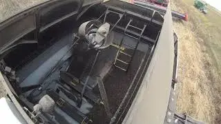 Комбайны от РОСТСЕЛЬМАШ на уборке подсолнечника.РСМ-161 с жаткой безрядковой.