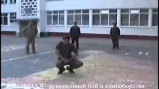 Система Кадочникова, Белоусов Ч20 Гусиный шаг