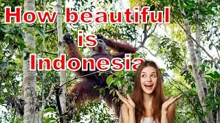 Indonesia is so beautiful country | Lets have a look