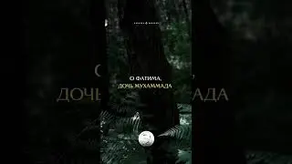 Наставление Пророка Мухаммада ﷺ дочери Фатиме