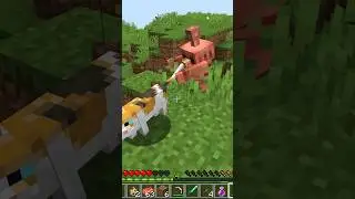 Golem atrapa gatos! #minecraft #seriedemods #seriesurvival #minecraftvideos #minecraftshorts
