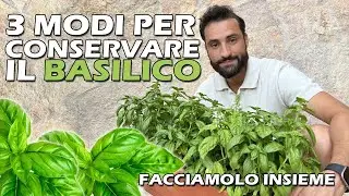 Come Coltivare e Conservare il Basilico: Trucchi e Consigli per una Pianta Sempre Fresca!