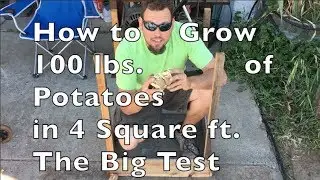 How to Grow 100 Pounds of Potatoes in 4 Square Feet