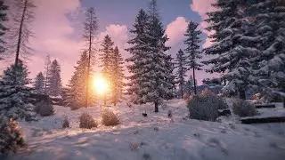 RUST! КУЛЬТУРНЫЙ СТРИМ! ИГРА С ПОДПИСЧИКАМИ!