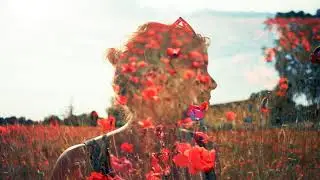Summer Salt - One Last Time