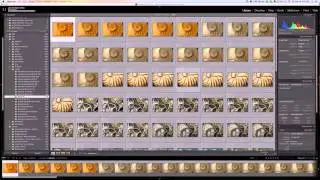 Importing Into Lightroom