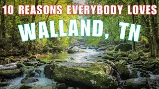 TOP 10 Things To Do in WALLAND!