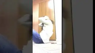 trim 21F8BD04 35EF 4AAE 823C 65A74F7C2446