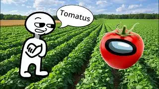 tomatus | amogus |