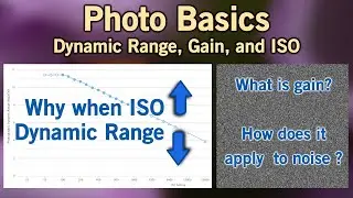 Photography Basics: Dynamic Range, Gain, and ISO