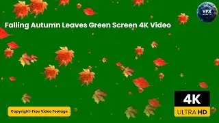 Falling Autumn Leaves Green Screen 4K Video #greenscreen #autumn #leaf #copyrightfree #video #viral