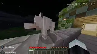 Stupid Dog Minecraft