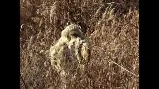 Маскировочный костюм для охоты и страйкбола.