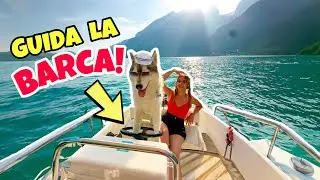 IL mio CANE IMPARA a GUIDARE una BARCA-IL DIARIO DI YUKO #7