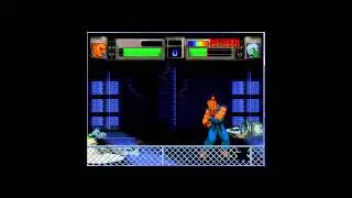Akuma vs Resident Evil (MUGEN)