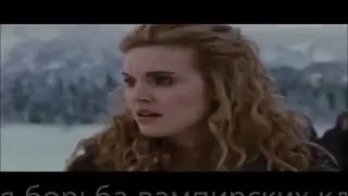 Стефани Майер Сумерки Буктрейлер Відділ комплектування