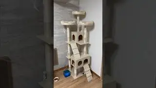 Новый кошачий дом! 🐈 🏠😍 #кот #дом #корея #блог #cat #고양이