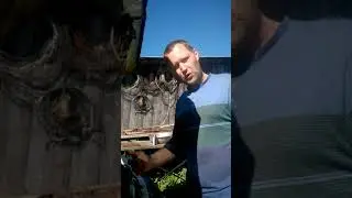 бон трейд