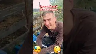 Гриша–наемный муж и работник, но его трясёт #матьгероиня #побируха#мем#скандал#разоблачение#юмор