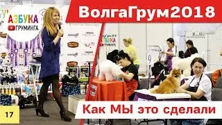 Как организовать конкурс Грумеров. 