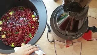 Приготовление сока из смородины на зиму. Сокопресс Bork
