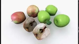 Промо Афиша ЯСургут 2