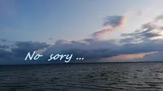 Sanah - No sory ( cover  by BLANKA HODUREK & SZYMON GRZYBACZ)