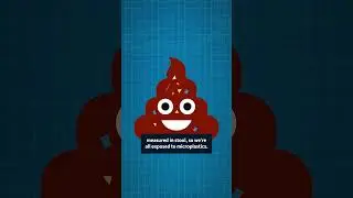 Weirdest places #microplastics  has found #science #health #plasticfree