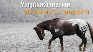 20 минут тревоги в день