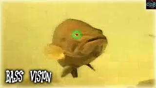 What COLORS do BASS see BEST (bass fishing tips)