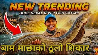  😍 one day fishing trip in nepal 🎣 #bamfishing #fish Fish Catch 🎣बाम माछाको  | must watch fish vlog