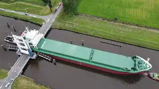 Arklow Archer Ferus Smit