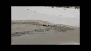 Проишествие  на  реке