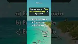 Spanish Language Quiz Game #spanishquiz #learnspanish #spanishlanguage #languagelearning #quiztime