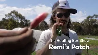 Remi's Patch – The Healthy Box Show E4