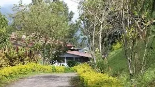 munnar 1