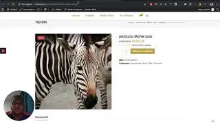 Sincronizar Productos desde WordPress , Woocommerce a ipos mx     desde   monie mx