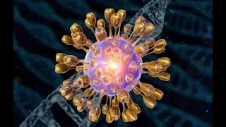 Tudo sobre herpes.