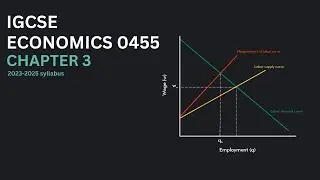 IGCSE Economics 0455 Chapter 3 | Microeconomic decision makers | 2023 - 2025 syllabus