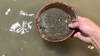 AJ Gold Mine Tour , Juneau, Alaska