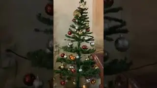 setting up 🎄
