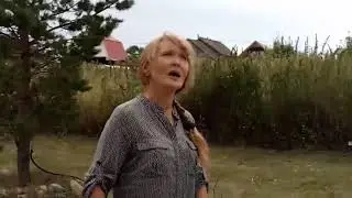 Песню 