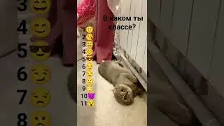 В каком ты классе
