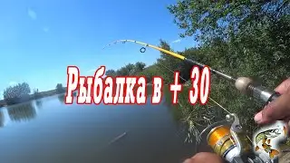 Отдых, рыбалка в плюс 30