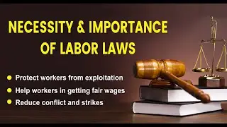 Necessity and the Importance of Labor Law in Pakistan